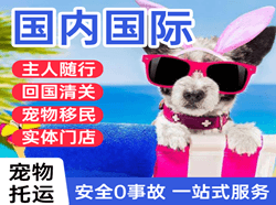 龙洞堡空运代理国际宠物托运 【国